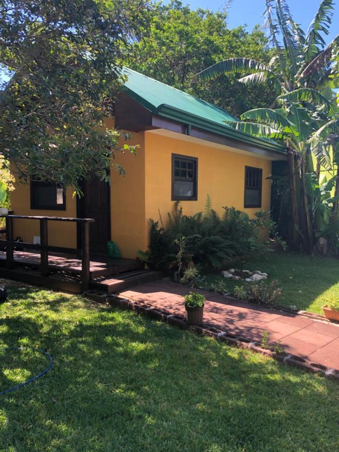 Airport Rio Segundo Studio Bed & Breakfast Alajuela Екстериор снимка